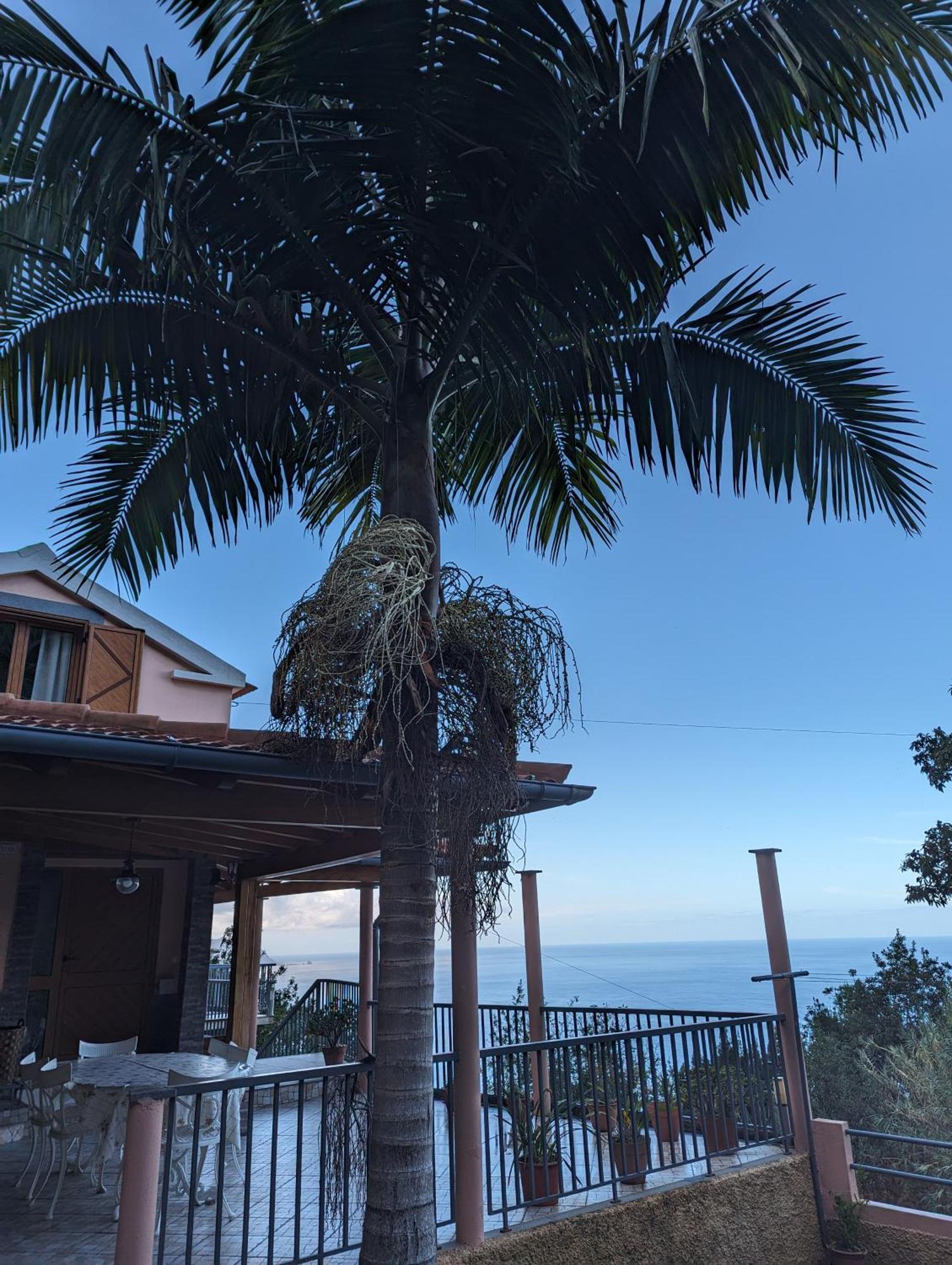 Fantatic Holiday House Ponta Delgada Exterior foto